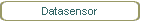 Datasensor