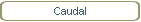 Caudal